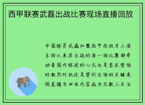 西甲联赛武磊出战比赛现场直播回放